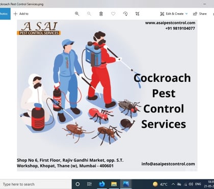 Outsourcing services - Photos for Pest Control - A SAI PEST CONTROL
