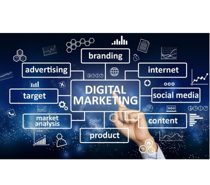 Computer & Web Services - Photos for Mrs. Sushma Sain – CEO & Founder Of LIYAN IT Solution