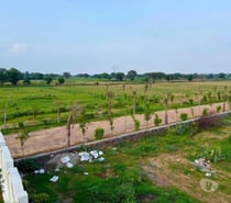 Western Aravalli Farms | Luxury Farm House in Shahpura