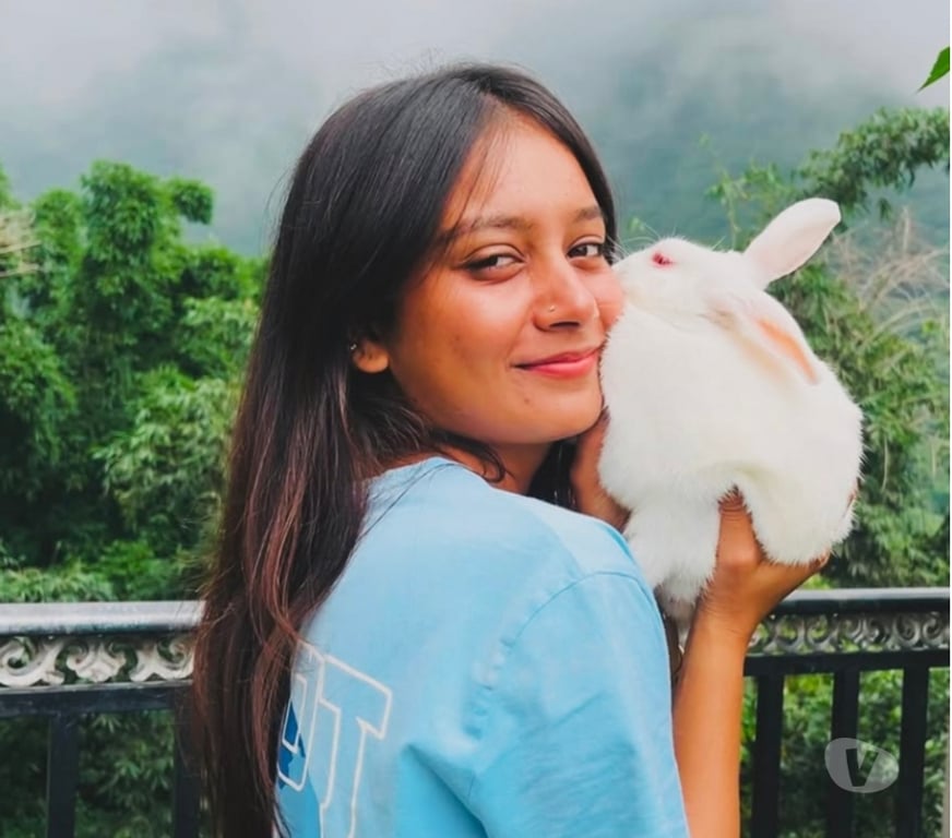 Call girl Chennai - Photos for South Indian girl available for genuine escort. No advance