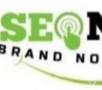 Explore SEONutri blogs for better insights