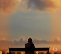 Looking for Honest man