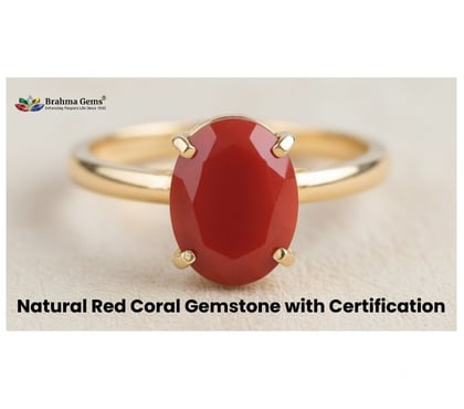 Fashion accessories for sale - Photos for Natural Red Coral Gemstone with Certification | Brahma Gems