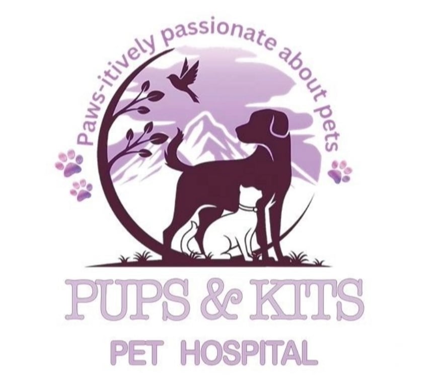 Pet shops Kolkata - Photos for PUPS & KITS PET HOSPITAL