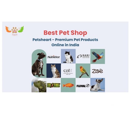 Pet care - Photos for Premium Pet Products Online Food, Toys & Aquarium Supplies