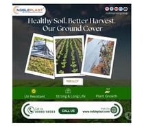 Healthy Soil, Better Harvest, Our Ground Cover