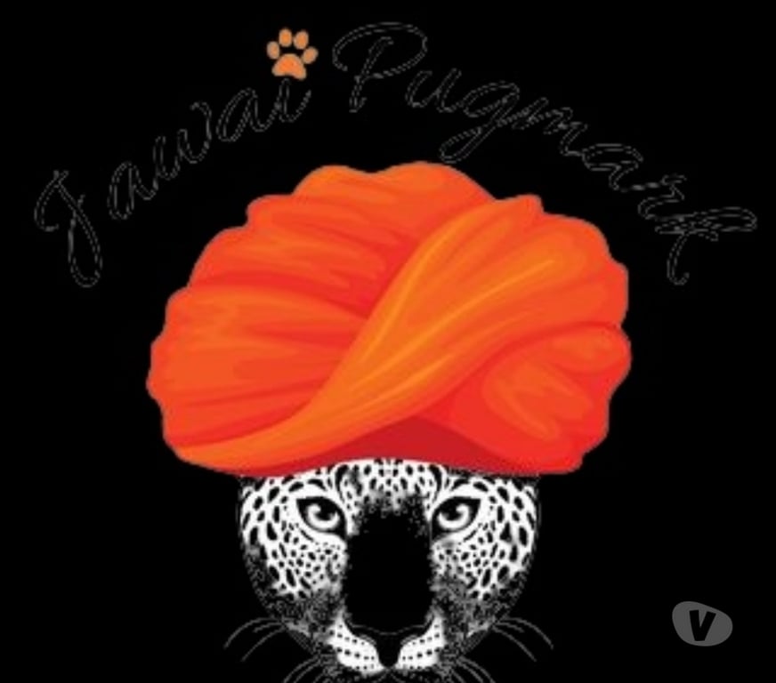 Other Services Udaipur - Photos for Jawai Pugmark – Best Resort in Jawai Bandh for